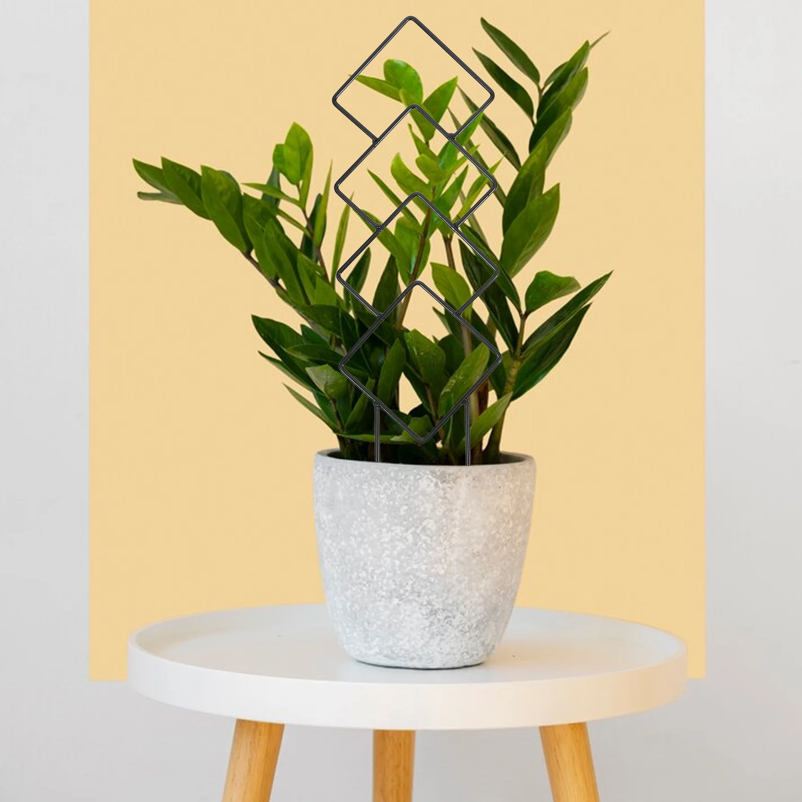 

2pcs Plant Climbing Frame Indoor Potted Trellis for Monstera Pothos Chain Support Garden Tool