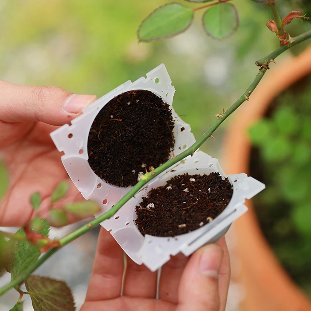 Incubatore a sfera per radicazione di piante da giardino incubatore ad alta pressione albero innestato radicazione piantina coltivazione palla