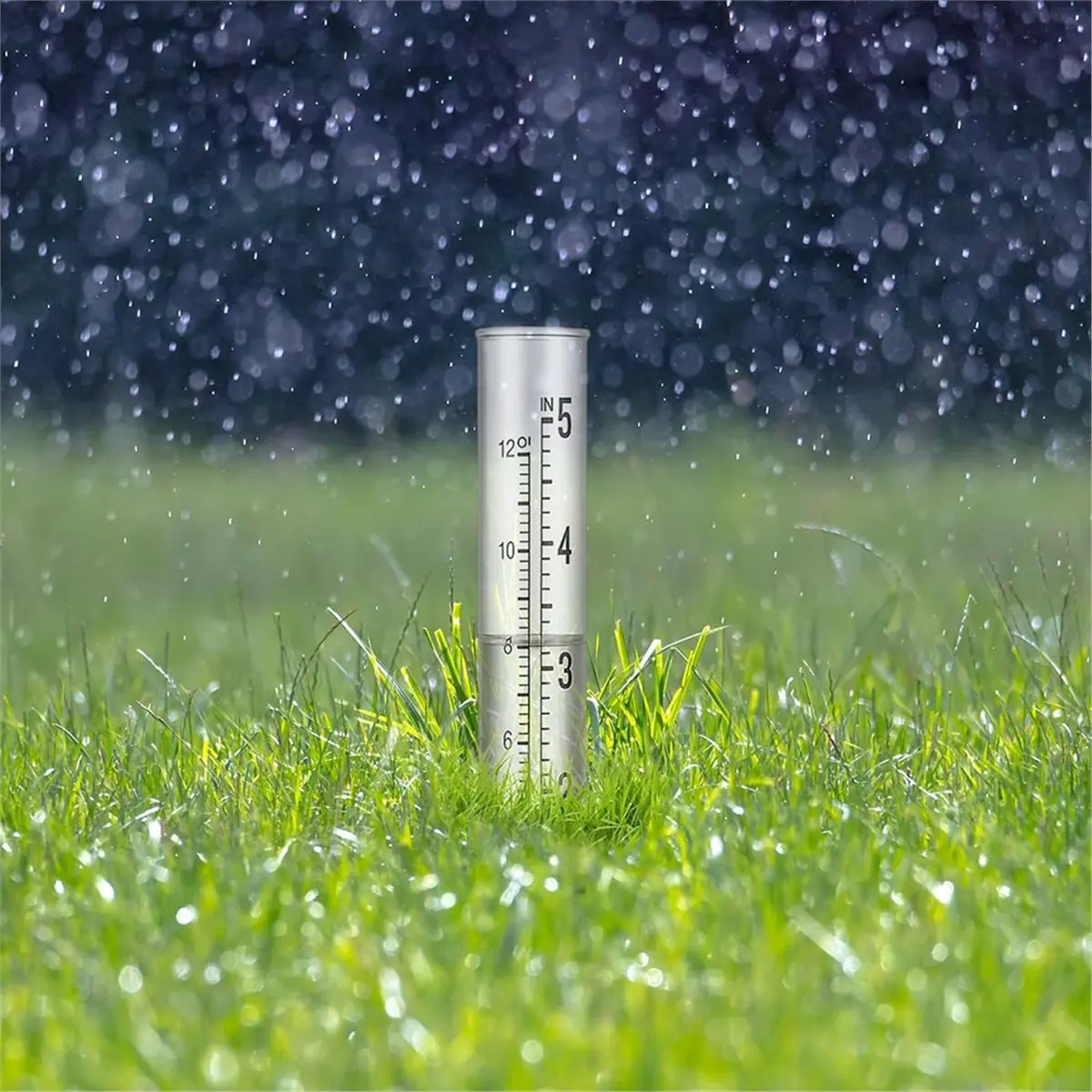 B-est 2Pcs Plastic Rain Gauge Replacement Tube 5 Inch Capacity Dual Scale Outdoor Freeze Proof Accurate Rainfall Measurement