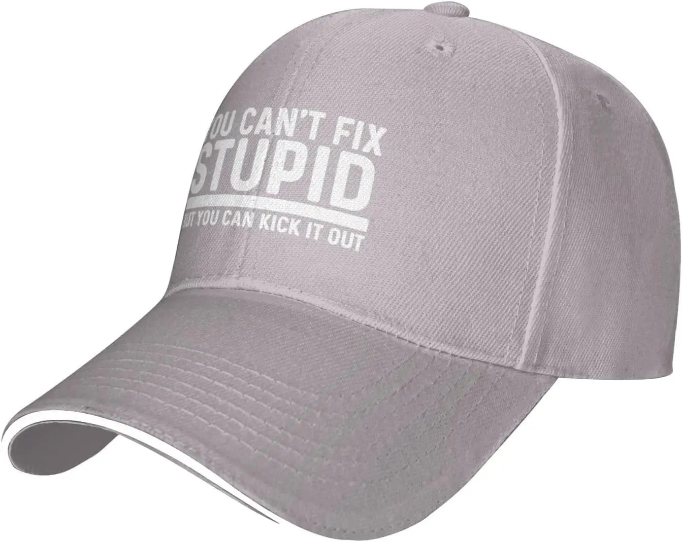 You Can't Fix Stupids But You Can Kick It Out Cap for Men Baseball Cap Cool Hats