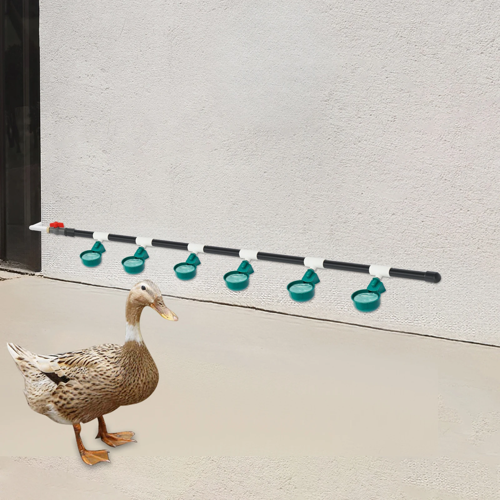 Hühnertrinker-Set, Wassertrinker, Verschleißfestigkeit, Hühner-Geflügeltrinker, 5,75 cm Durchmesser, Wachtel/Taube/Huhn für die häusliche Landwirtschaft – Detail 4