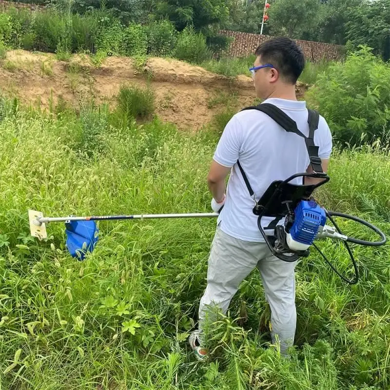 Landwirtschaftsausrüstung Garten Unkrautkehrmaschine Rasentrimmer Rucksack Freischneider