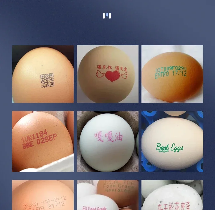 plastic cup-eggs-printing-machine-inkjet-printer for Expiration Date, Logo and Barcode on Egg Shell