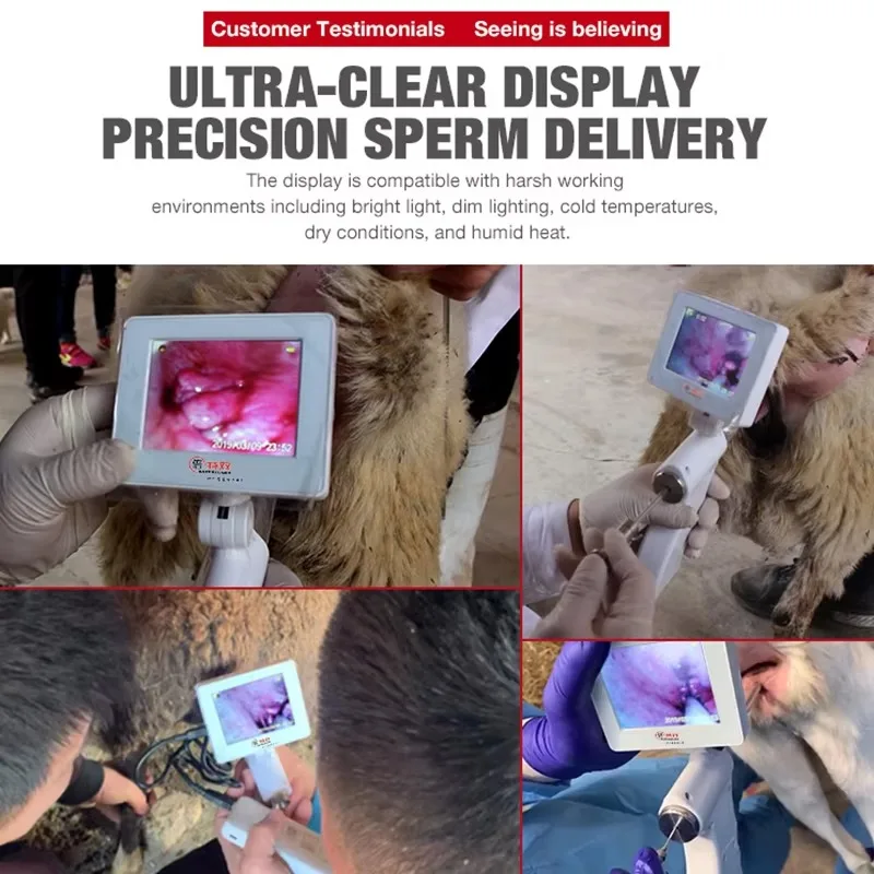 

Фермы используют ветеринарное оборудование для искусственного осеменения овец и коз.