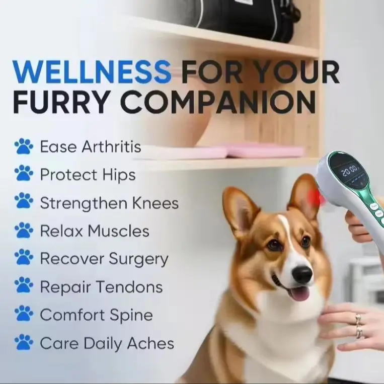 Professional 650nm 808nm Infrared Laser Therapy for Animals Joint Pain Relief & Muscle Tissue Repair Home Use