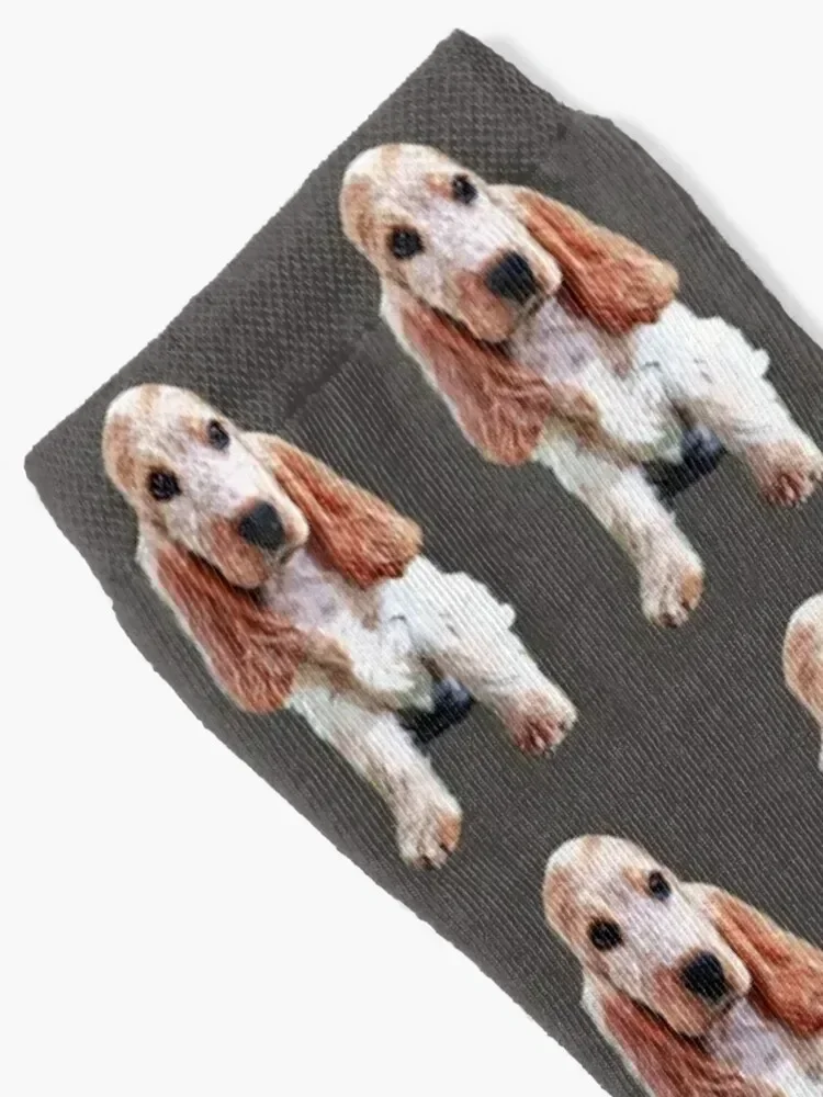 Cocker Spaniel Orange Roan Puppy English Cocker Socks ankle christmass gift Mens Socks Women's