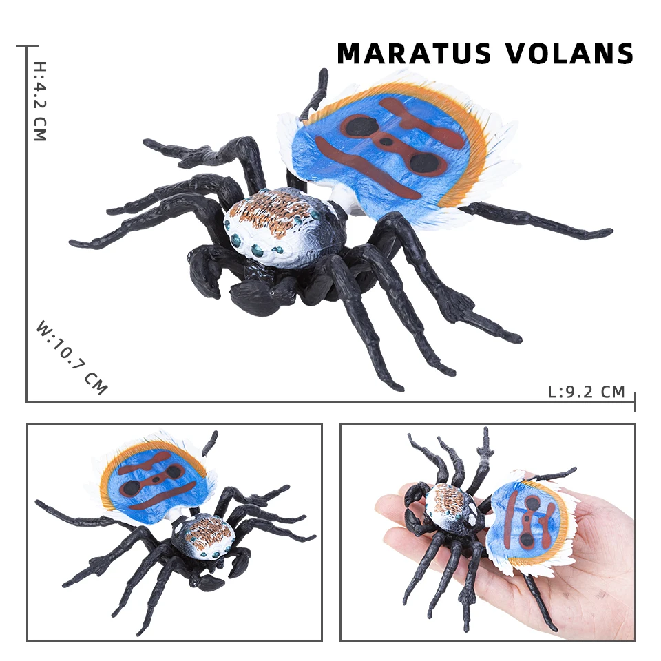 Simulation Tiere Insekt Solide Modell Spinne Tarantula Schwarze Spinne Halloween Scary Action-figuren Pädagogisches Spielzeug Für Kinder – Detail 4