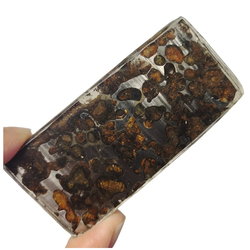 

31.1g Sericho Pallastie meteorite slice Olivine Natural meteorite material Collection - from Kenya -CA223