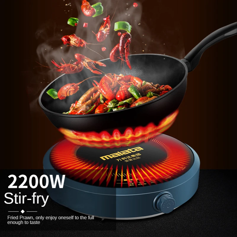 

Electric Induction Cooker Boiler Waterproof 2200W Cooking Plate Intelligent Hot Pot Stove Cooktop Burner Induction Stove G676