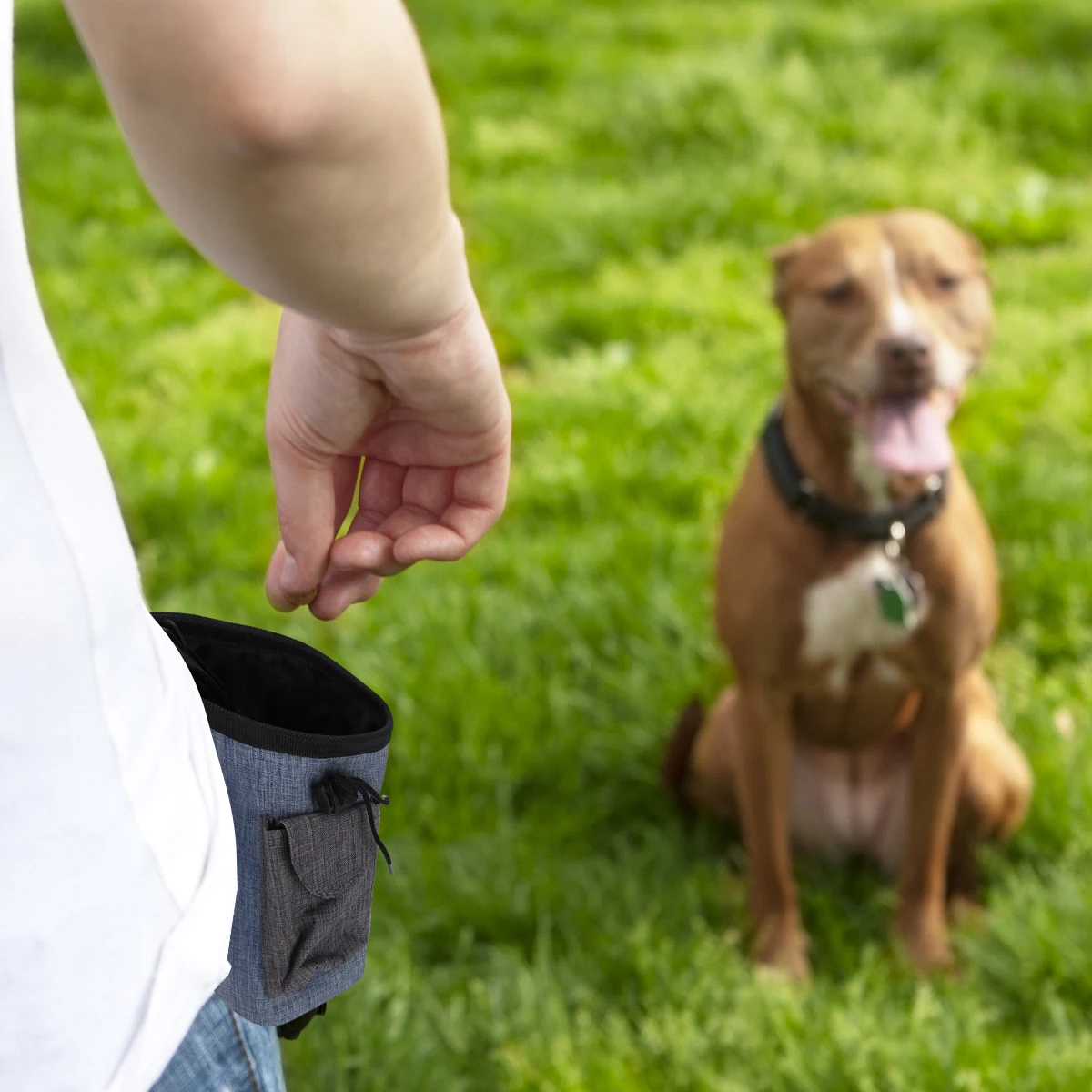 

Portable Dog Treat Bag Durable Material Large Capacity Adjustable Waist Belt Blue Outdoor Pet Supplies Snack Pouch For Training