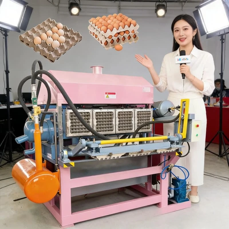 Egg Tray Machine Industrial Pulp Molding Production Equipment Paper Egg Carton System Waste Paper Recycling Packaging Industry