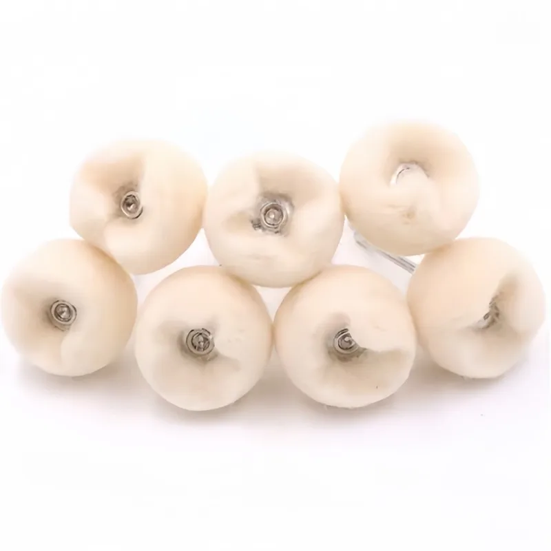 

23Pcs Polishing Brush Kit for Drill, For Metal, Wood, Jewelry, Gem Polishing