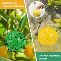 8cm Hanging Ball Fruit Fly Traps Insect Fly Catcher Mosquito Killler Pest Control Gnat Traps for Indoor Outdoor Fly Swatter Ball