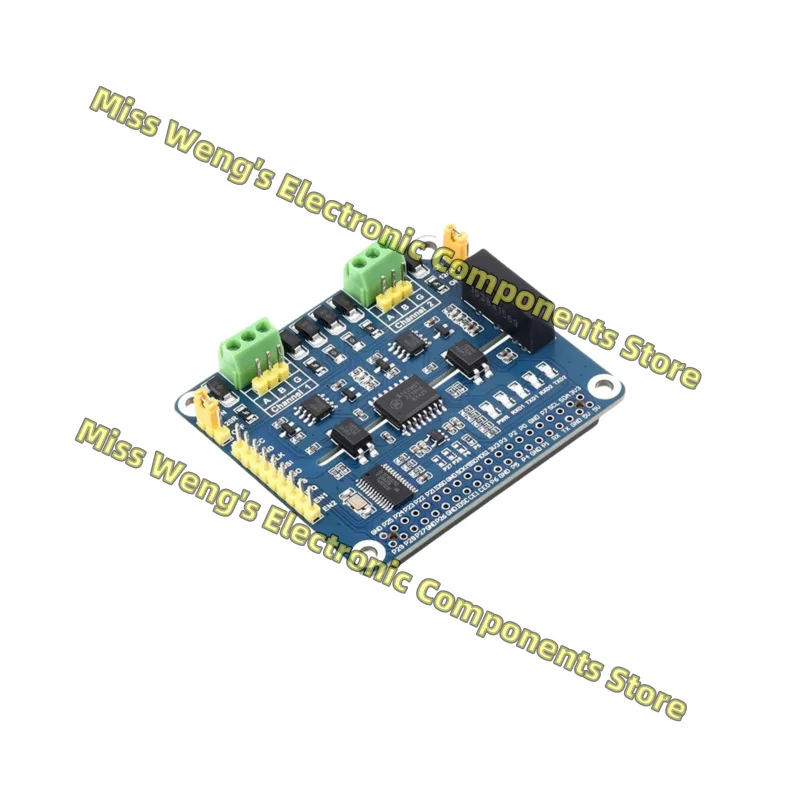 Raspberry Pi Dual C…