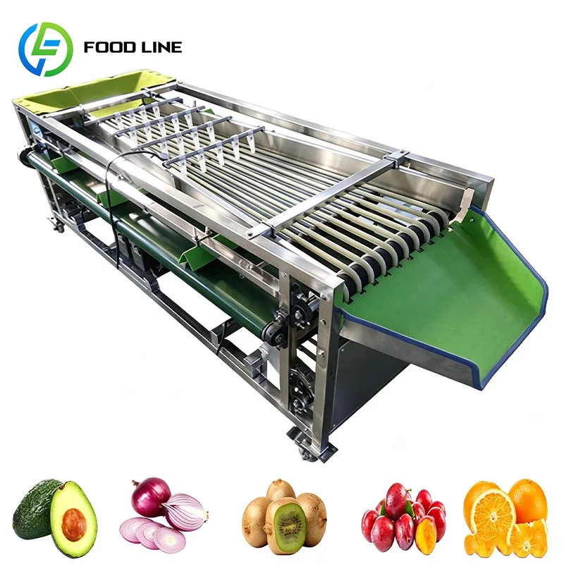 Fruit Sorting Machine Vegetable Grading Machine Produce Grader for Onion Potato Carrot Garlic Customized