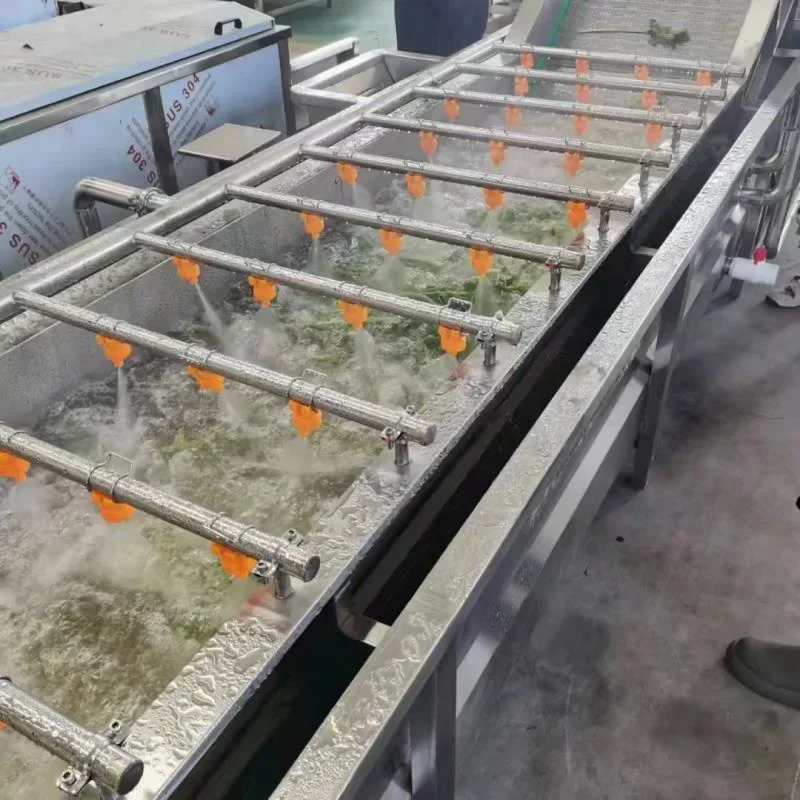 Commercial Bubble Vegetable and Fruit Washer; Large-Capacity Vegetable and Ginger Washer with Fully Automatic Convey(Customized)