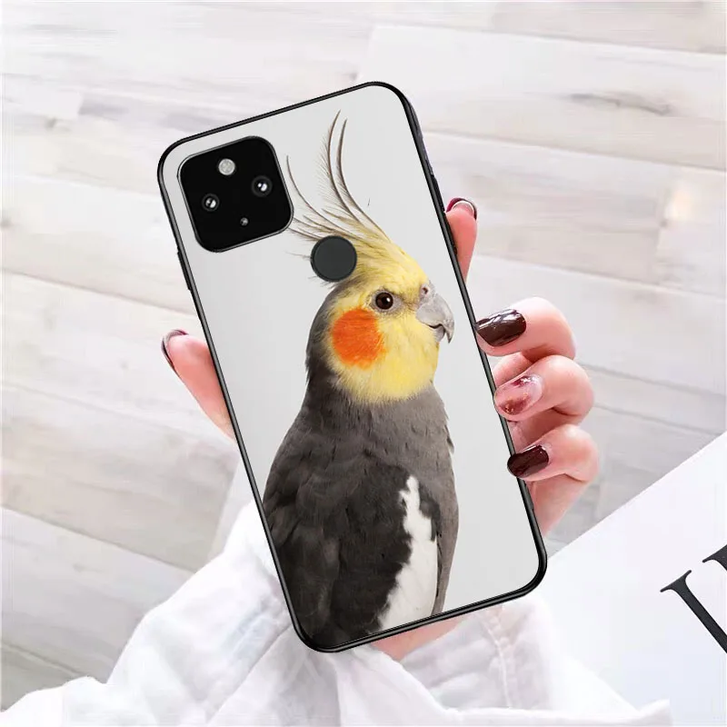 Parrot Bird Phone Case for Google Pixel 9 Pro XL 8 7 6 Pro Pixel 8A 7A 6A 4A 3A 3XL Pixel 8 7 6 5 4