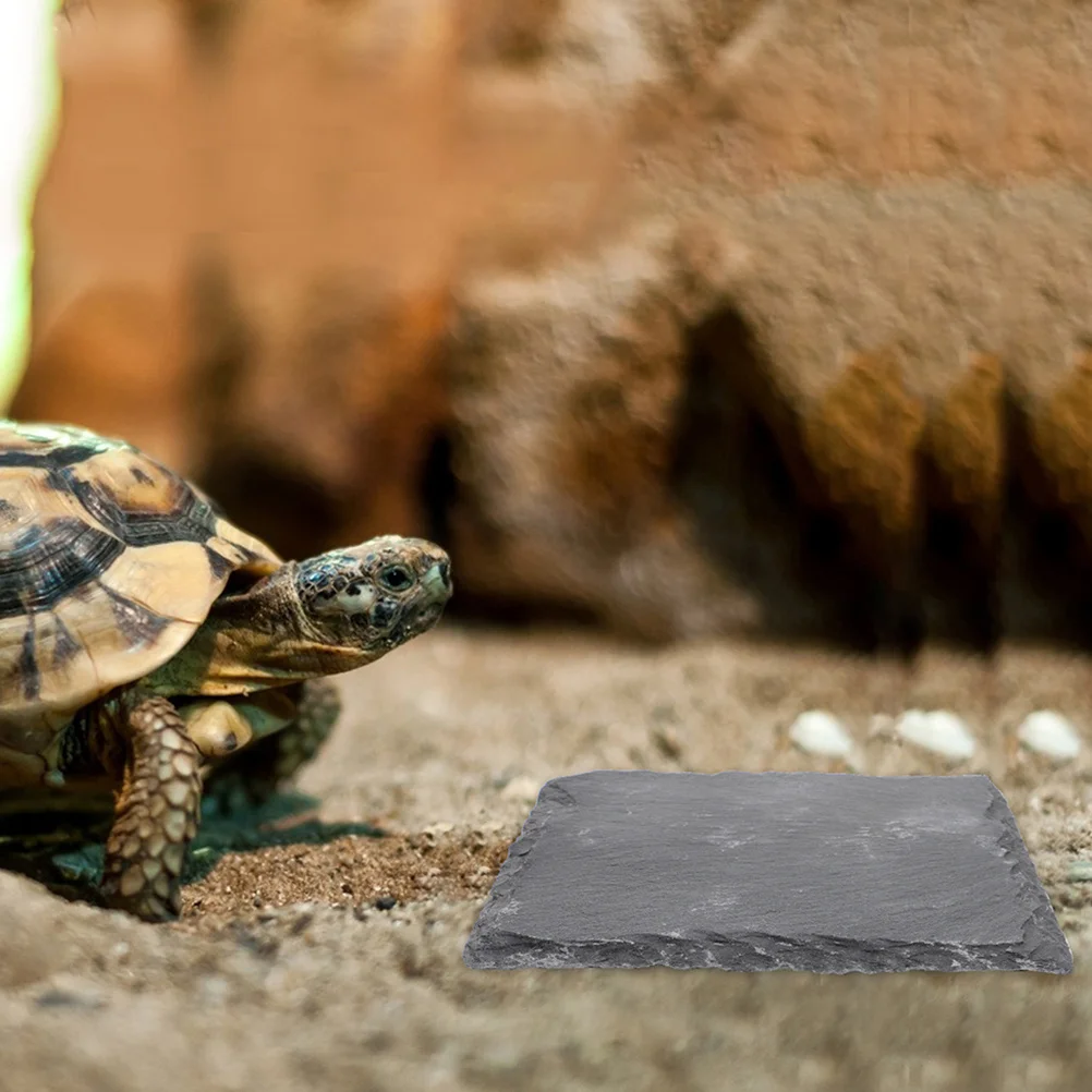 

Reptile Stone Dish Natural Texture Decorative Feeding Plate Basking Platform for Tortoise Lizard Gecko Snake Turtle