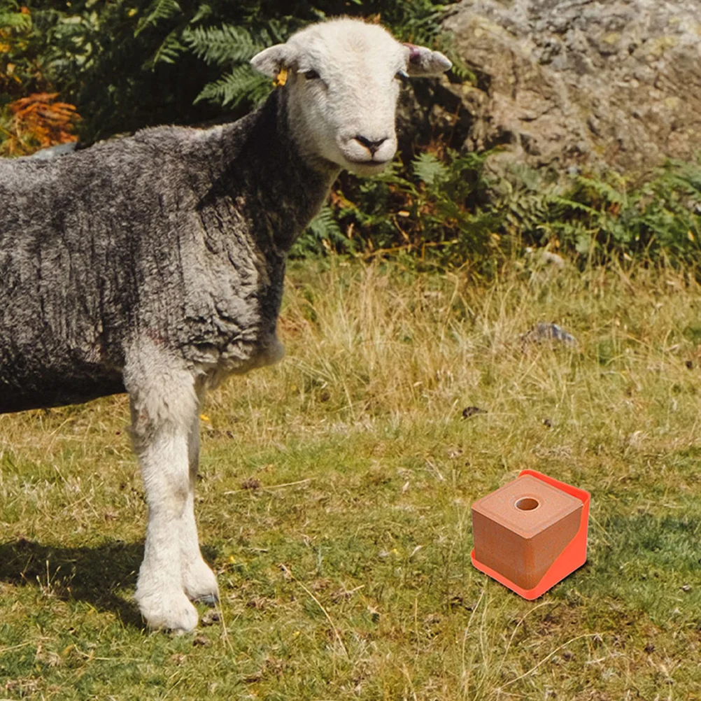 2pcs Salt Box Mineral Horse Salt Block Rack Block Rack Horses Livestock Goat Deer Fodder Storage Container