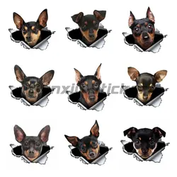 Pinscher Miniature Car Sticker 3D Metal Torn Original Design Vinyl Rear Windshield Trunk Custom Decal Pet Dog Graphic