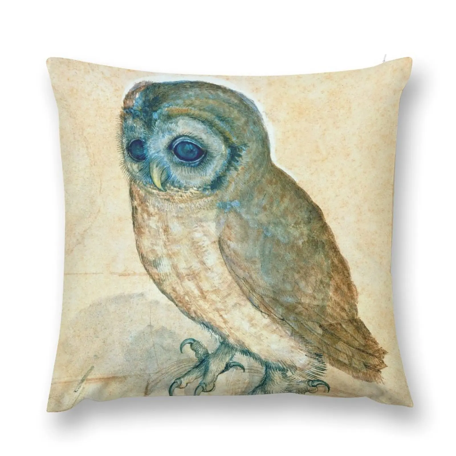 Albrecht Dürer Little Owl Throw Pillow Decorative Cover For Living Room Room decorating items pillow pillowcase pillow