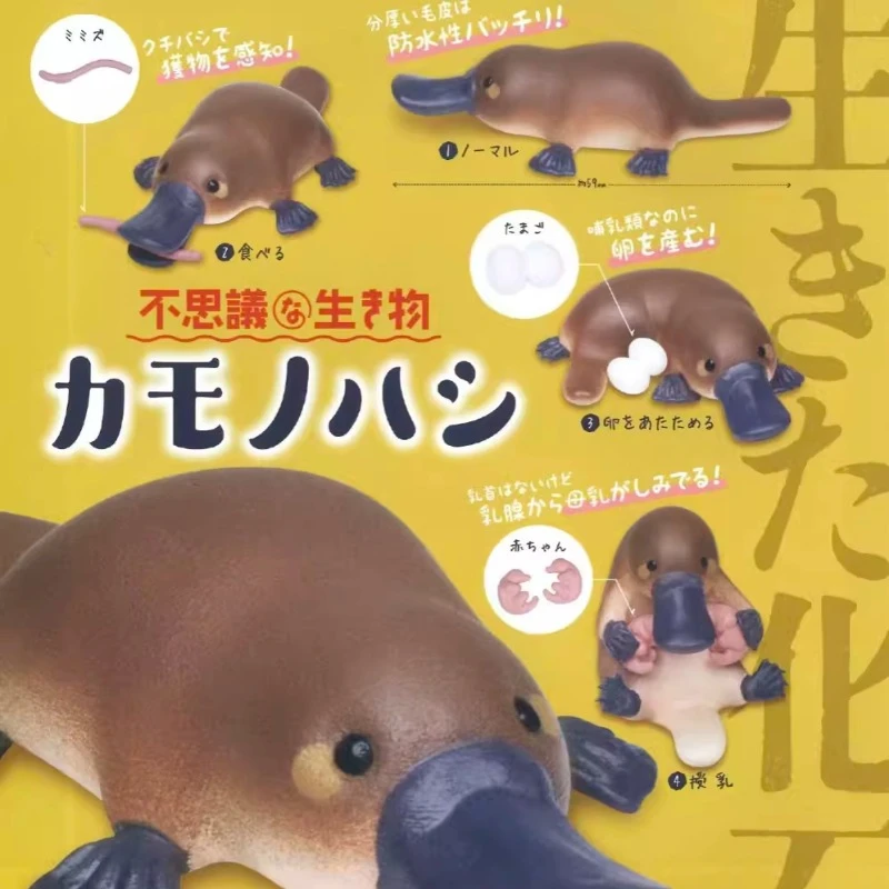 Japan Original Kawaii Miniature Gashapon Figure Anime Figurine Cute Inconceivable Creature Platypus Models Capsule Toys Gift