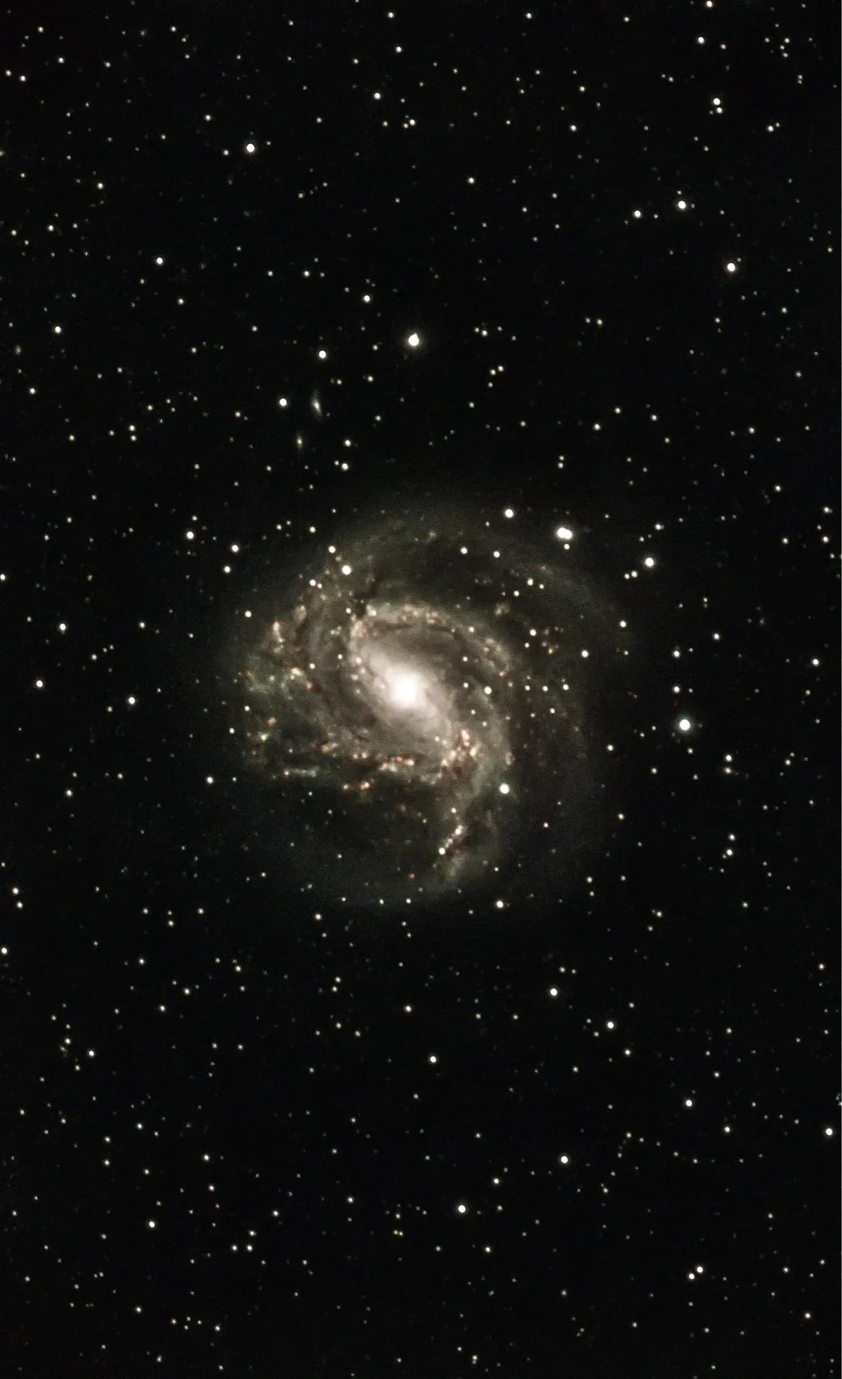 Svbony SV550 APO Teleskop, 122mm F7 Triplet Apochromatisches Refraktor-Teleskop, Professionelles Astronomisches Teleskop für Astro – Detail 32