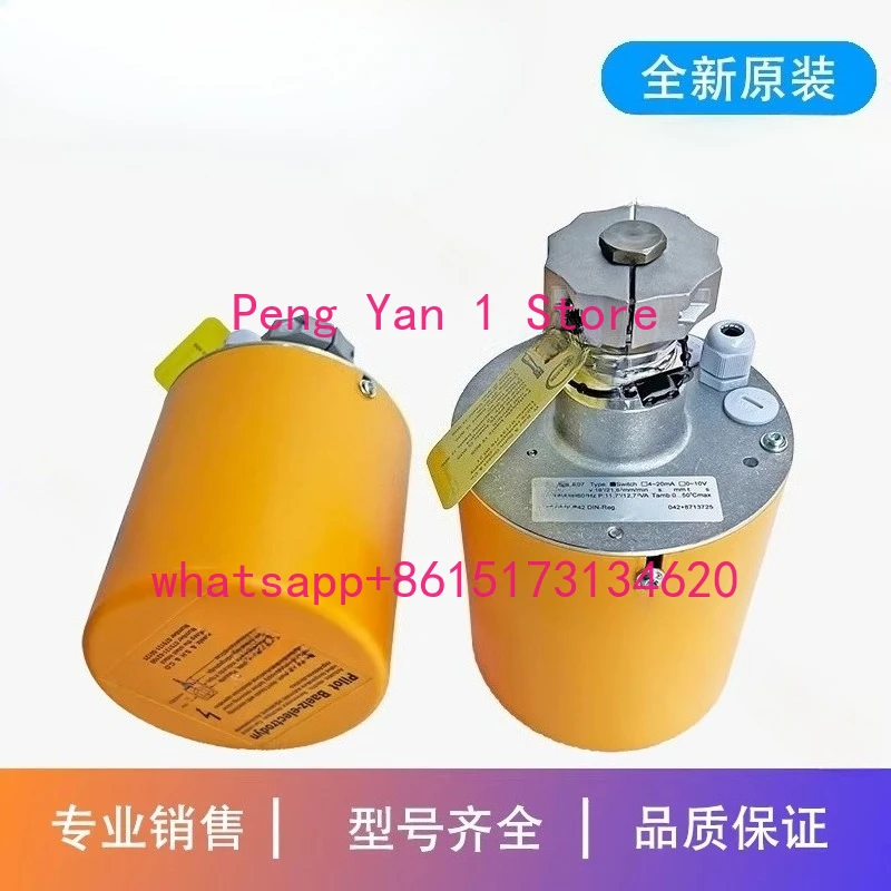 Electric Valve Actu…