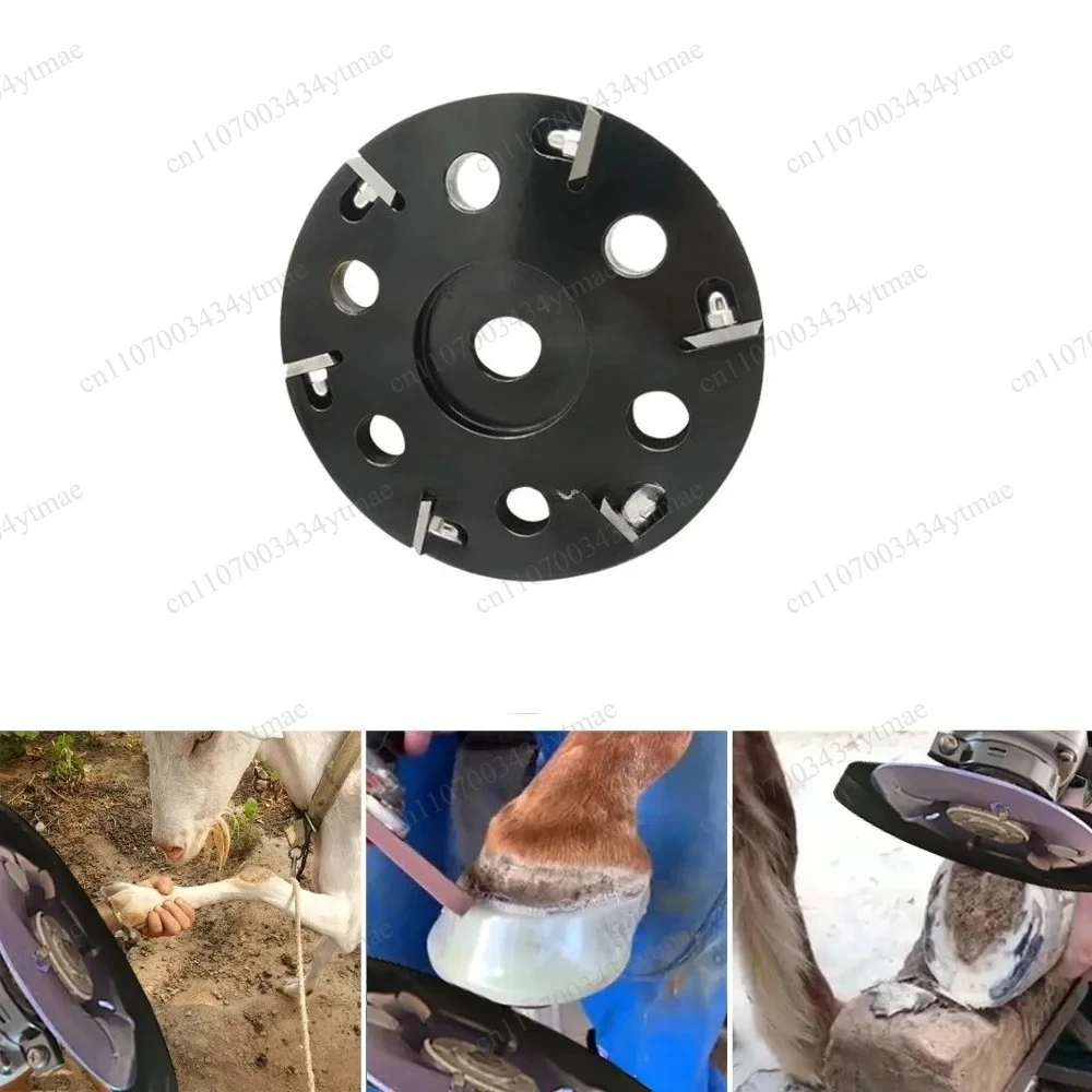 6 Blades Hoof Trimming Disc for Cattle Hoof Trimming Machine Outer Diameter 110mm Inner Diameter 16mm 22mm Farm Livestock Parts
