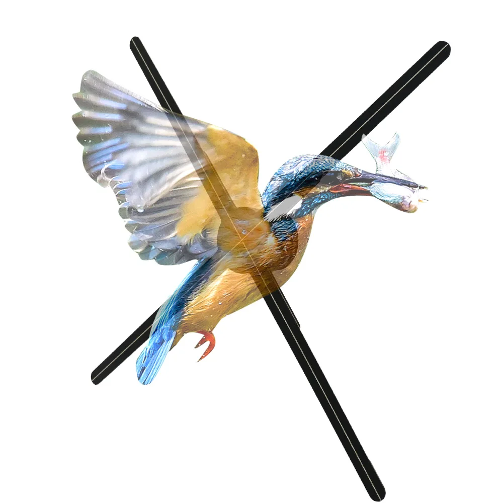

65Cm 3D Holographic Display Fan HDMI-Input Interactive Live Synchronization For Education Use In Indoor Environments