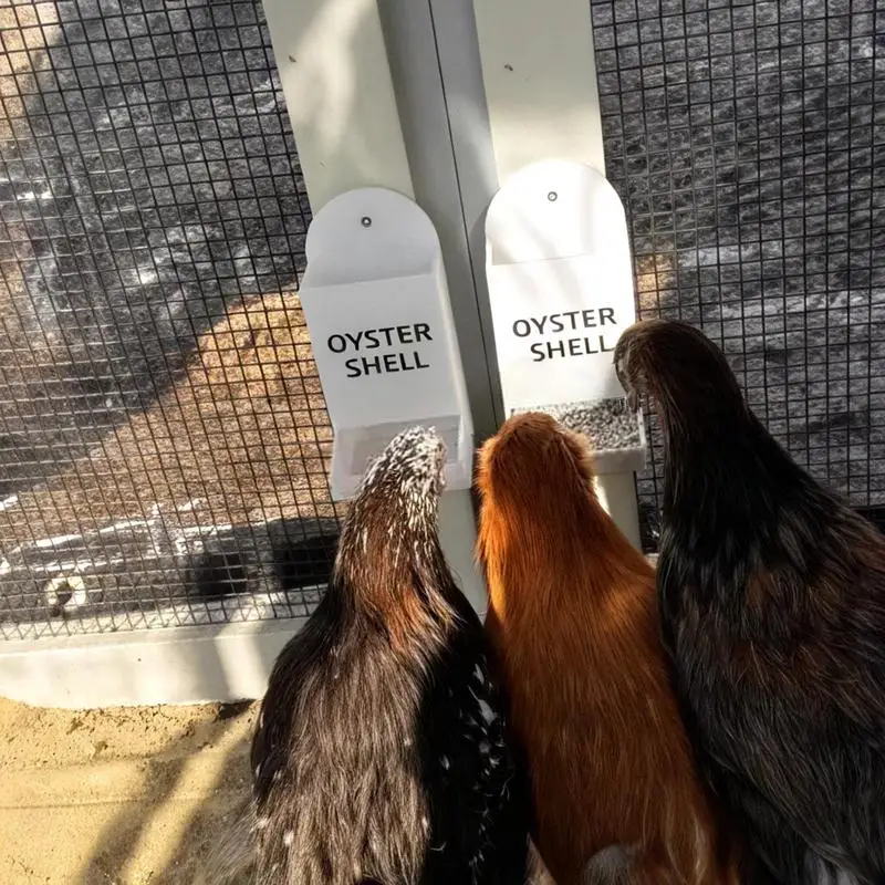 

Poultry Feeder Chicken Grit And Oyster Shell Feeder Portable Coop Feeding Station For Livestock Care Farm Backyard Outdoor