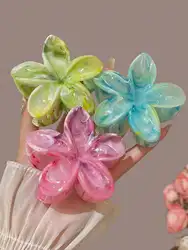 2-3pcs Women's Gradient Color Flower Pattern Large Size Lightweight Plastic Hair Clips