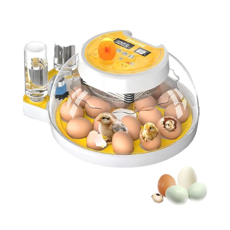 

Новые инкубаторы для яиц с автоматическим переворотом, контролем влажности и функцией подачи воды, 100% вылупляемость, компактные, для инкубации