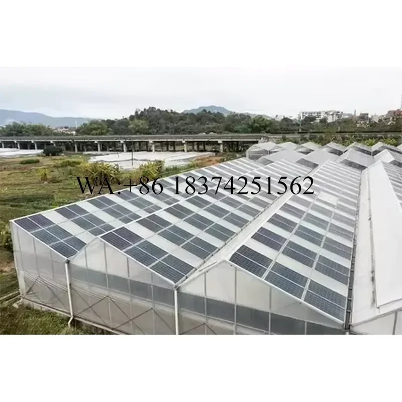 Wmwmnu Smart Agricultural Cost Effective Multi Span Solar Panel Photovoltaic Panel Glass Greenhouse