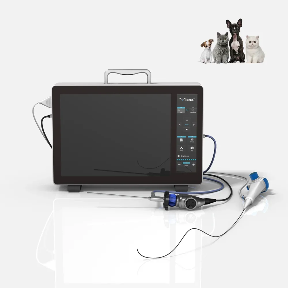 Vet Single Use Electronic Bronchoscope and Rigid Endoscope Ca-me-ra in One Controller for Veterinary