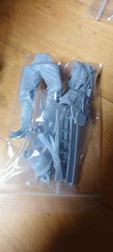 Buyer photo of this resin kit