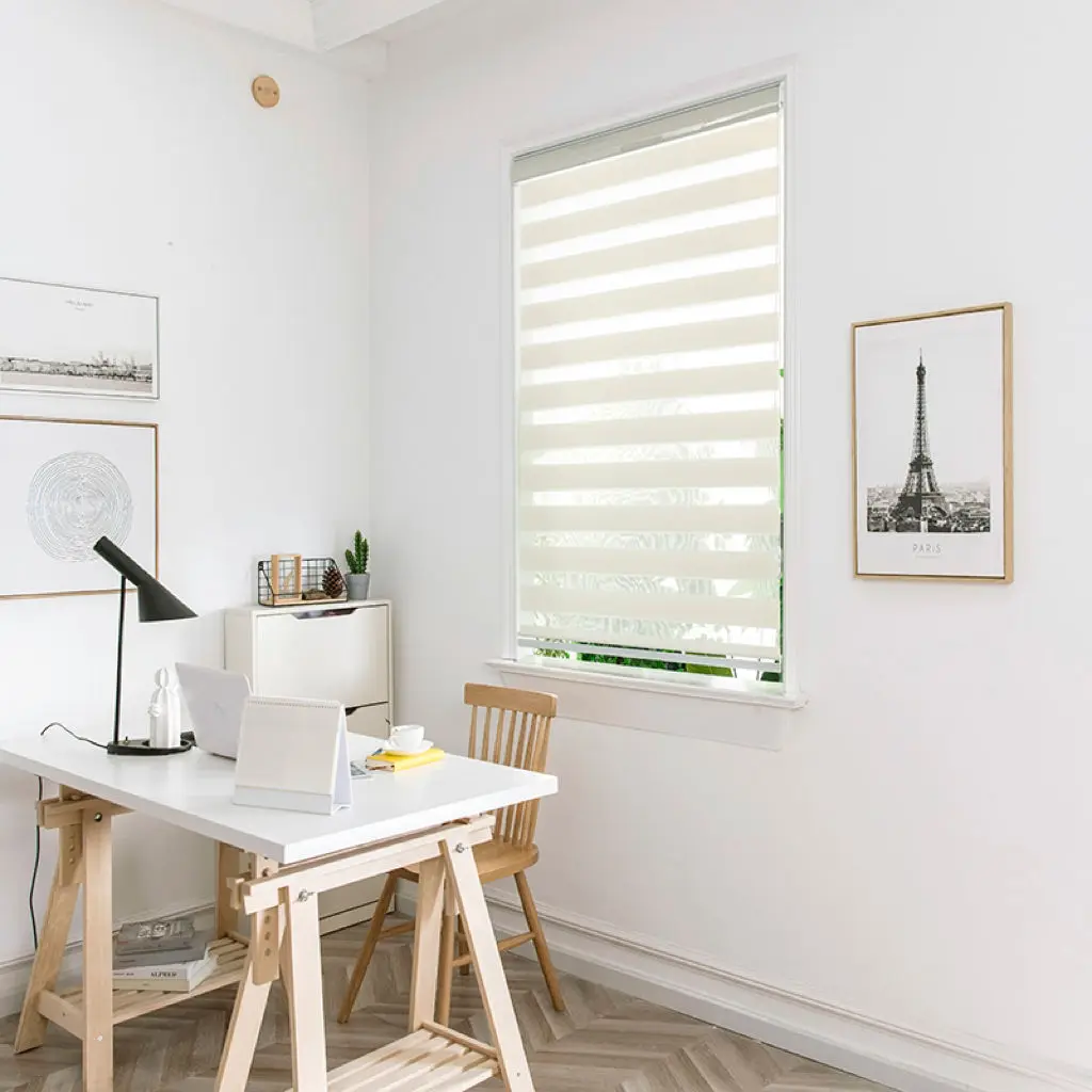 China factory wholesale modern design  manual spring control dual layers day and night blackout zebra blinds for house