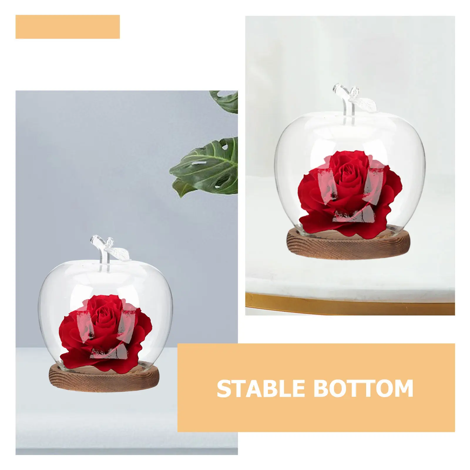 Glass Storage Halloween Christmas Clear Glass Jar Display Case Glass Cloches Glass Decorative Wooden Base Decorative Glass Jar