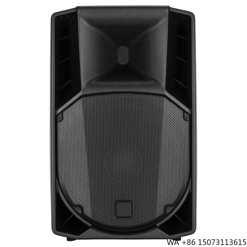 

Single 15 Inch Active Two Ways Speaker Line Array Speakers Floor Stage Powered System
