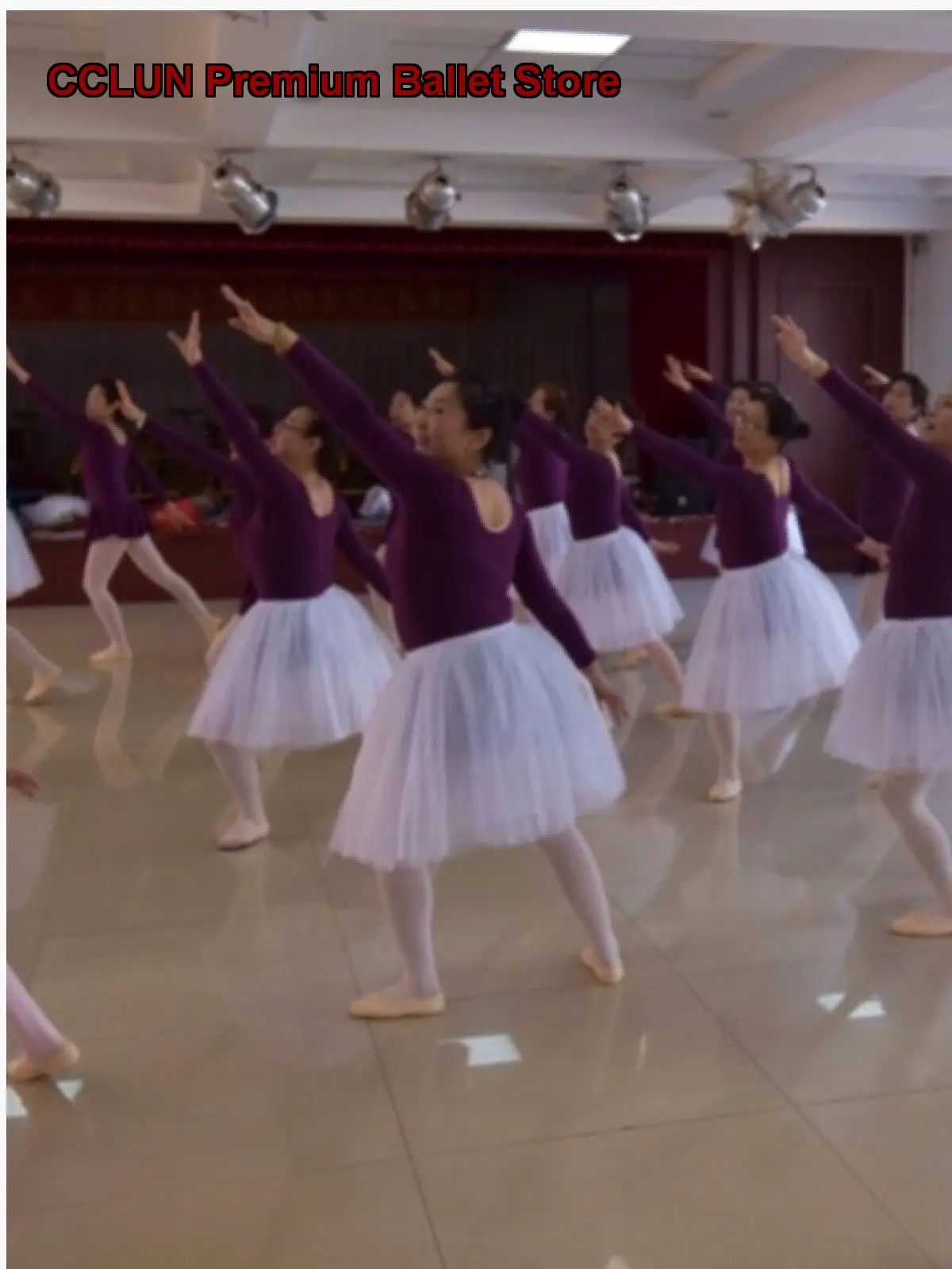 Adult Women's Half Tulle Skirt Practice Skirt White Tulle Dance Cross-Dressing Puffy Skirt Tutu