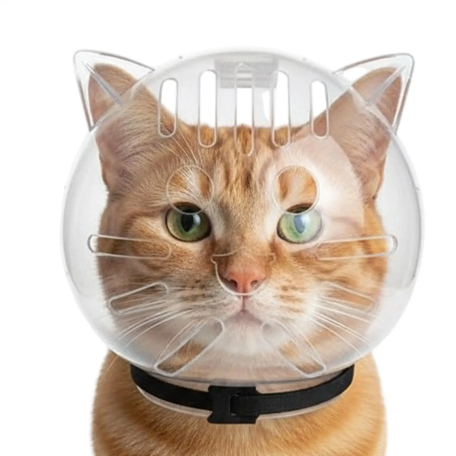 Cache-tête transparent anti-morsure pour chat, respirant, type bulle, pour le bain, la mue, la coupe des ongles et la gestion du comportement des animaux de compagnie