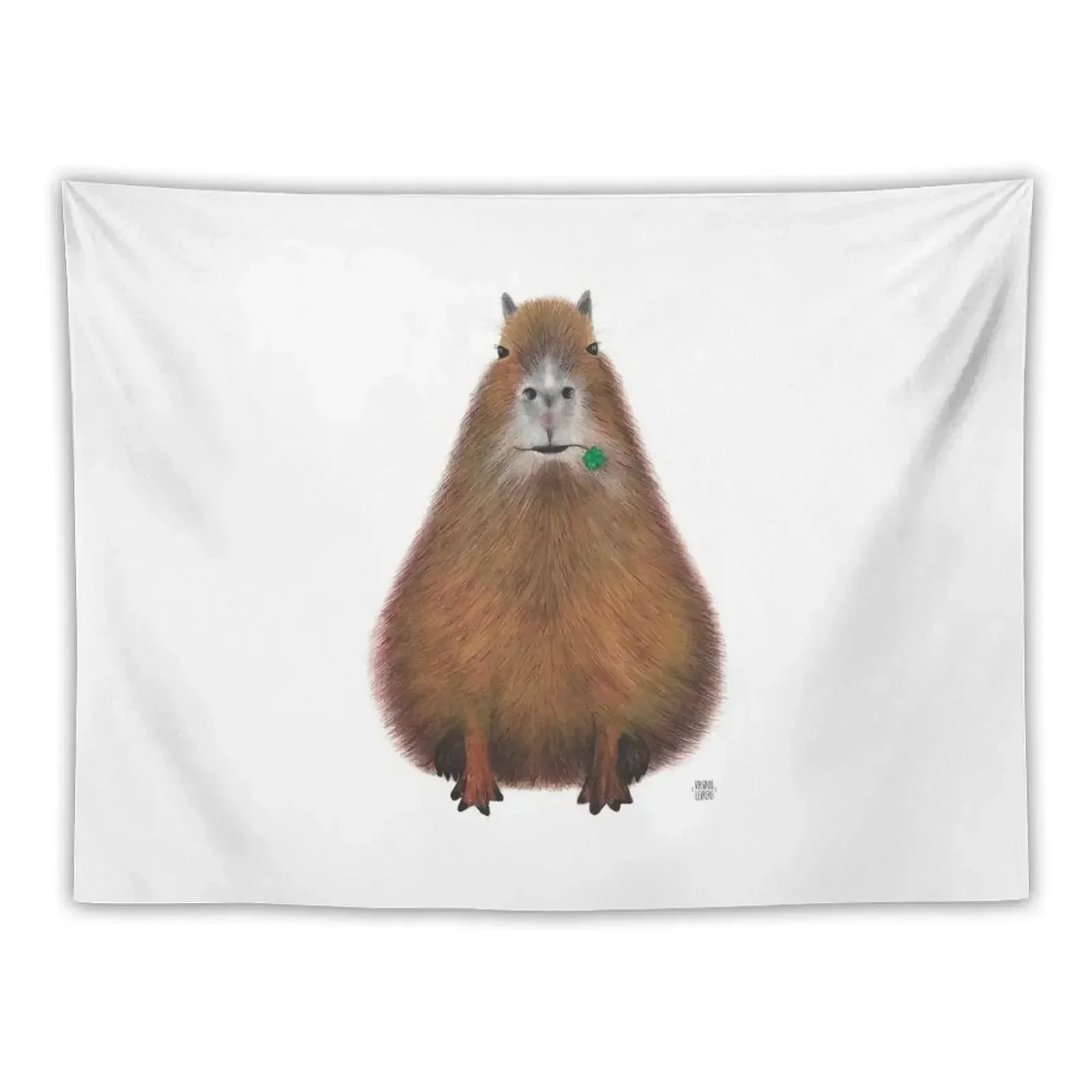 

Capybara high quality, hand made illustration Tapestry Aesthetic Decoration House Decorations Room Decor Korean Style Tapestry