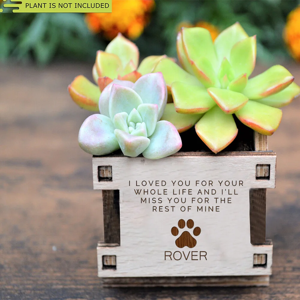 Personalized Dog Memorial Gift Planter Never Forget Dog Sympathy Gift Pet Memorial Gifts Custom Plant Pot for Pet Lover