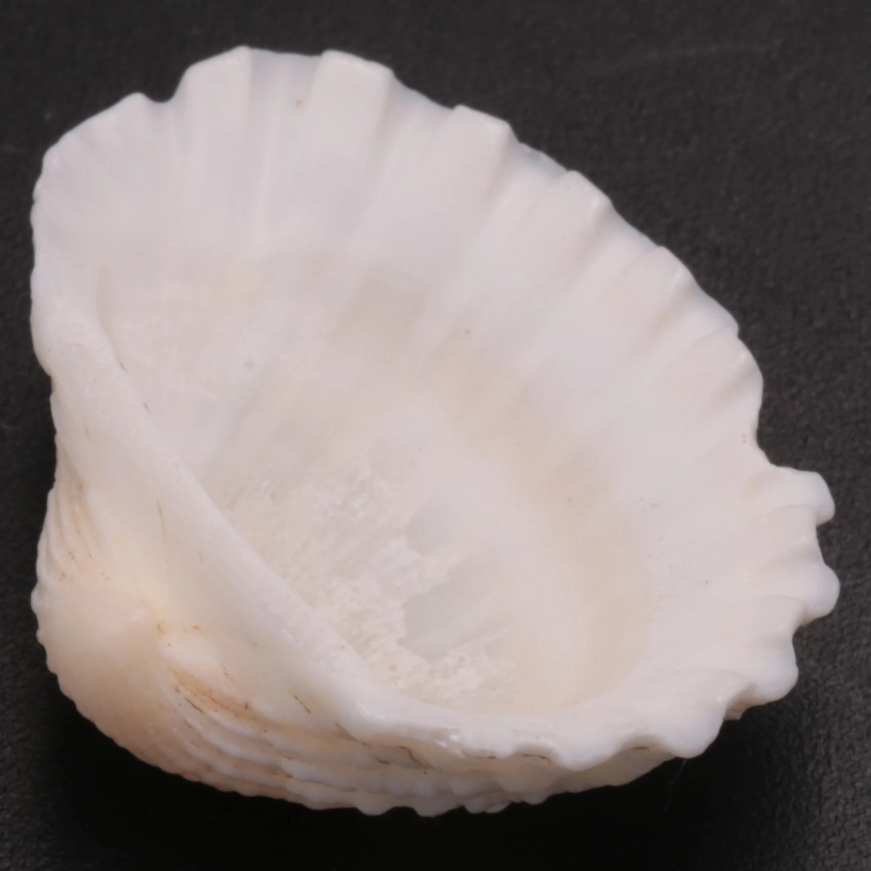 

Техника для покупателя, милый увлажнитель с прохладным туманом, очиститель воздуха для офиса, спальни, зарядка через USB, кавайный увлажнитель воздуха со светодиодной подсветкой воздуха