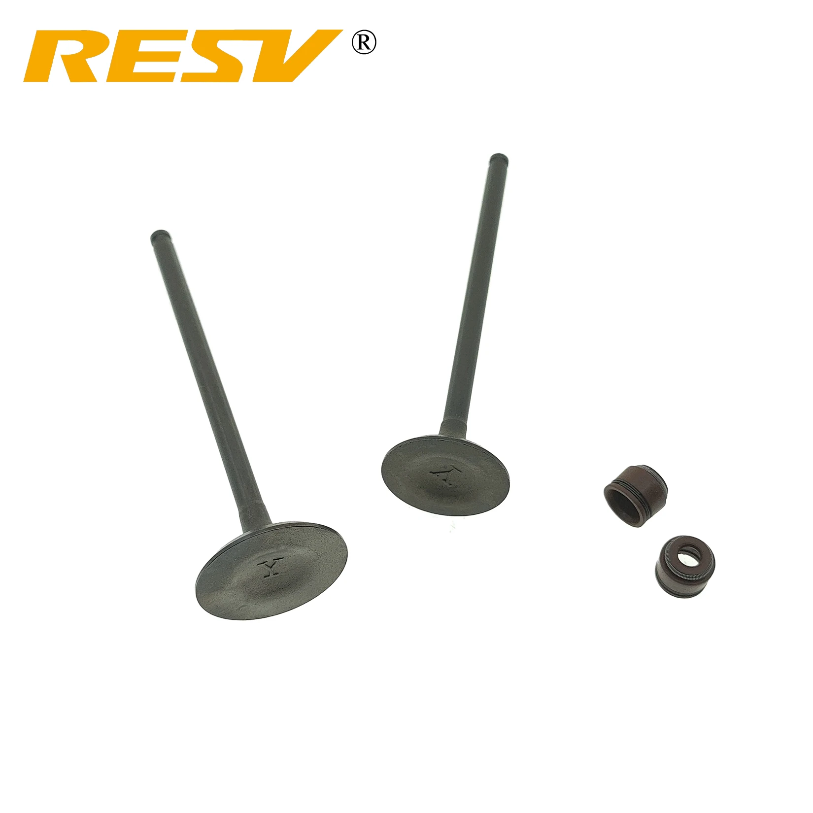 RESV for Suzuki AN 250 Burgman 250cc 1998-2006 DR250 1990-1995 Intake Exhaust Valves Set with Oil Seal