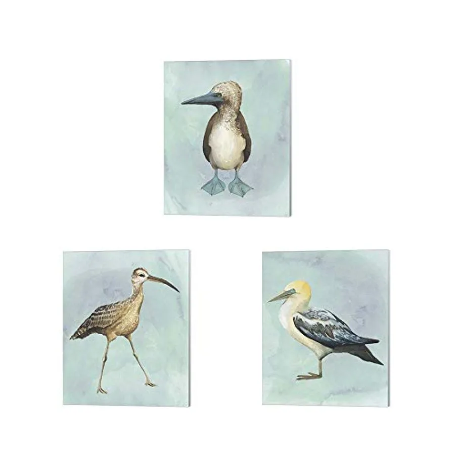 

Watercolor Beach Bird A by Grace Popp 3 Piece Canvas Art Set 8 X 10 Inches Each Bird Art Ocean Theme Soft Pastel Colors Decorat