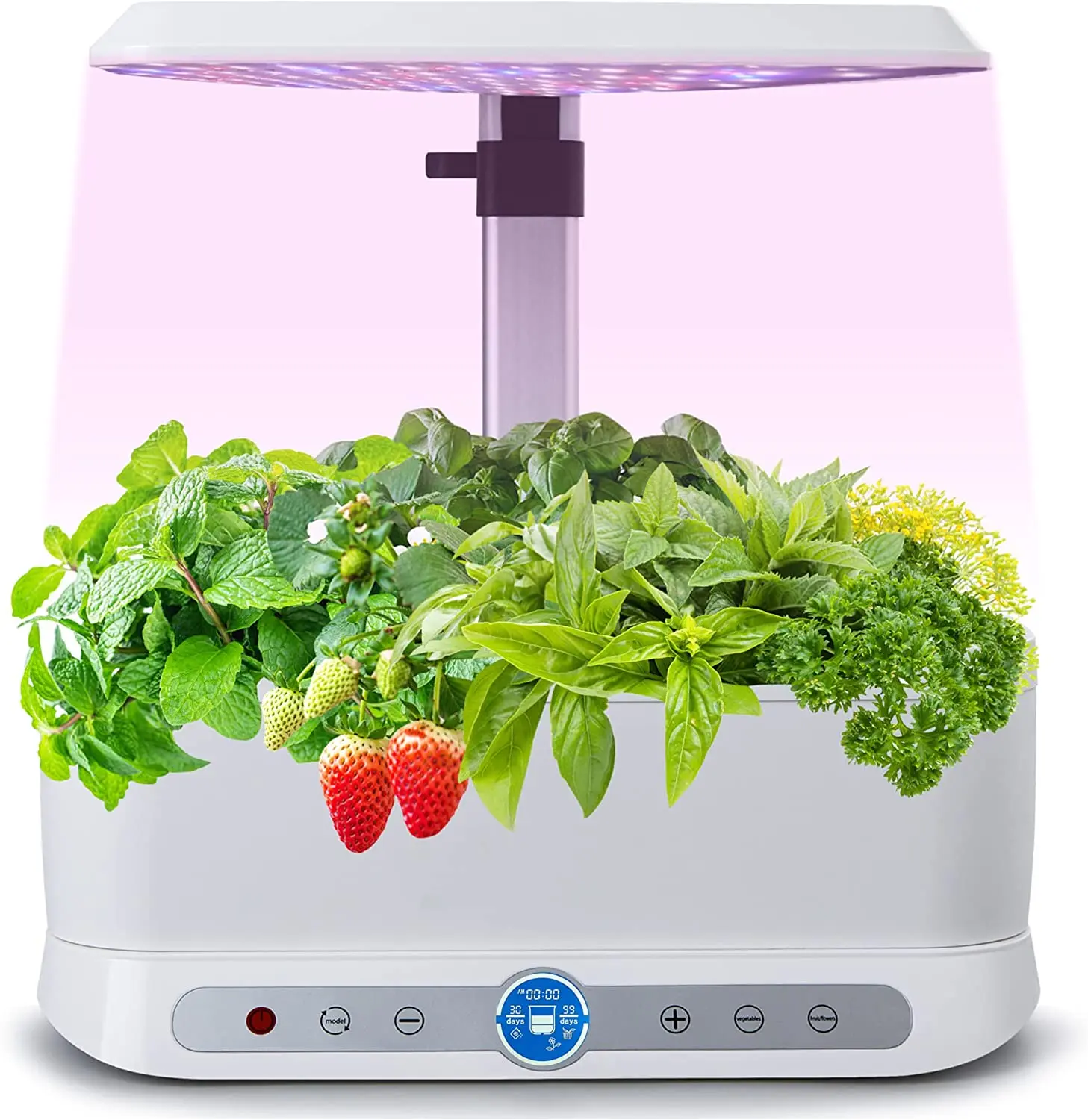 Hydroponic Equipment Planter indoor hydroponic garden mini smart garden hydroponic growing system