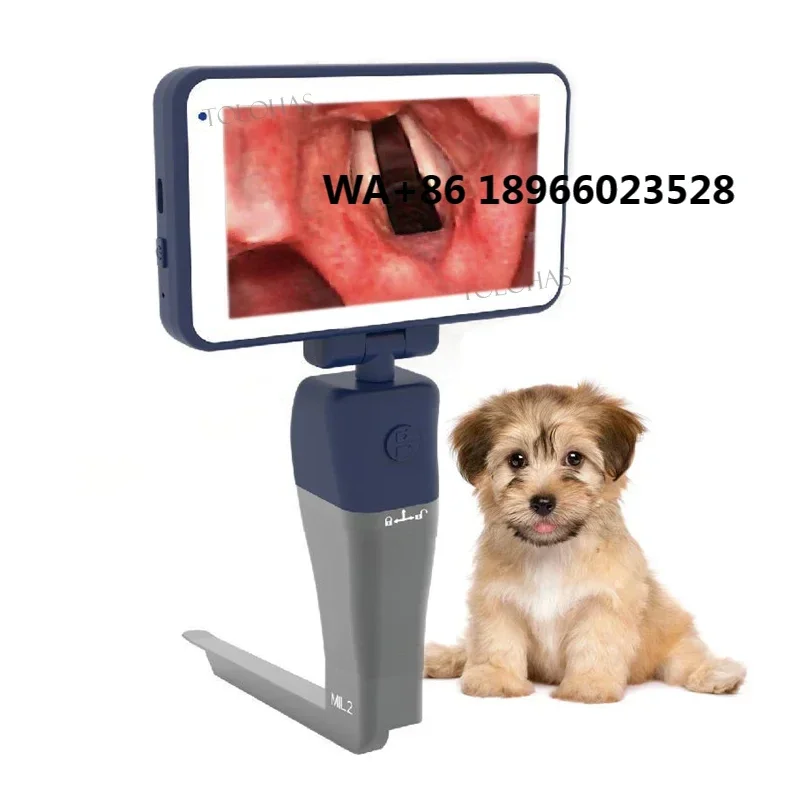 LHWCR31V New Style Reusable Sterilizable Blades Laryngoscopy Pet Hospital Medical Vet Video Laryngoscope