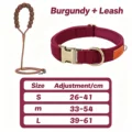 Burgundy Set
