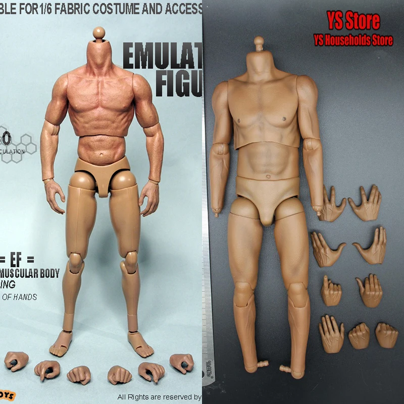 

Zctoys TTM19 1/6 Man Soldier Muscular Body Park er Basketball Player Jim Mini Carving Model Toys Fit 12" DIY Hobby Collects